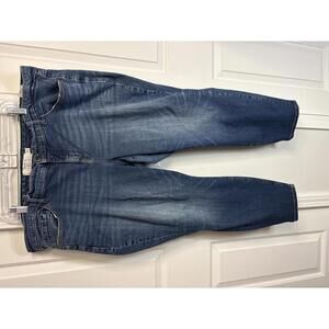 Torrid Denim Jeans Size 24S (555)